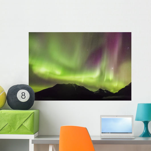 Northern Lights in the sky above Moose Pass Wall Mural