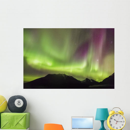 Northern Lights in the sky above Moose Pass Wall Mural
