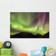 Northern Lights in the sky above Moose Pass Wall Mural