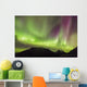 Northern Lights in the sky above Moose Pass Wall Mural