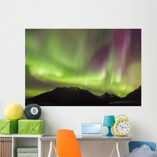 Northern Lights in the sky above Moose Pass Wall Mural