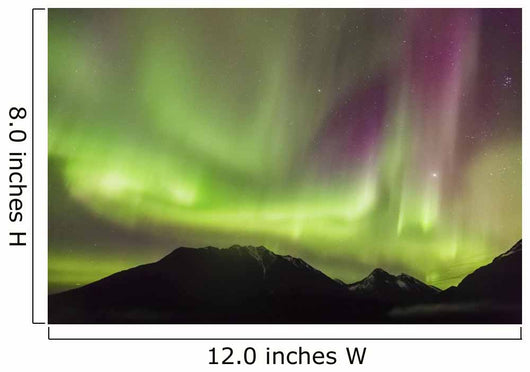 Northern Lights in the sky above Moose Pass Wall Mural