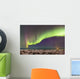 Northern Lights in the sky above the snow covered mudflats of Knik Arm Wall Mural