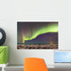 Northern Lights in the sky above the snow covered mudflats of Knik Arm Wall Mural
