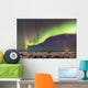 Northern Lights in the sky above the snow covered mudflats of Knik Arm Wall Mural