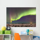 Northern Lights in the sky above the snow covered mudflats of Knik Arm Wall Mural