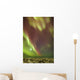 Northern Lights and moon Wall Mural