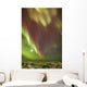 Northern Lights and moon Wall Mural