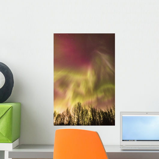 Northern Lights in the sky above Cook Inlet, Southcentral Alaska, USA Wall Mural