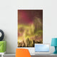 Northern Lights in the sky above Cook Inlet, Southcentral Alaska, USA Wall Mural