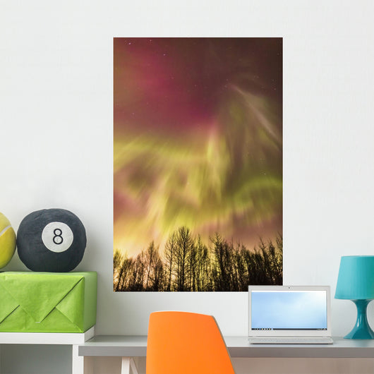 Northern Lights in the sky above Cook Inlet, Southcentral Alaska, USA Wall Mural