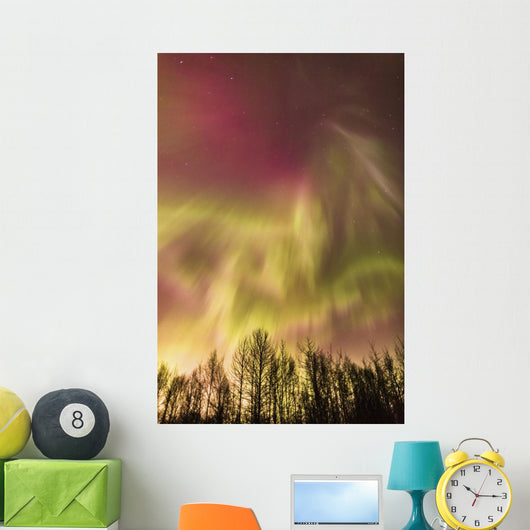 Northern Lights in the sky above Cook Inlet, Southcentral Alaska, USA Wall Mural
