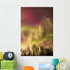 Northern Lights in the sky above Cook Inlet, Southcentral Alaska, USA Wall Mural
