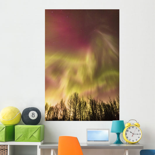 Northern Lights in the sky above Cook Inlet, Southcentral Alaska, USA Wall Mural