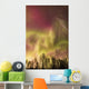 Northern Lights in the sky above Cook Inlet, Southcentral Alaska, USA Wall Mural