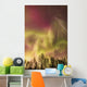Northern Lights in the sky above Cook Inlet, Southcentral Alaska, USA Wall Mural
