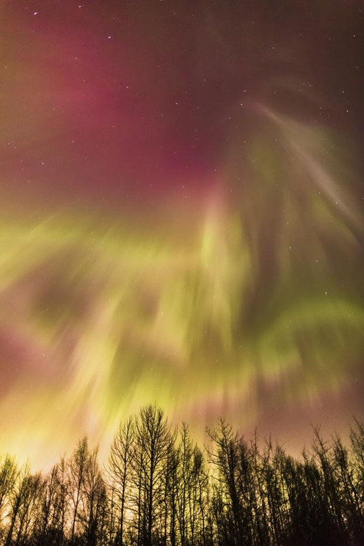 Northern Lights in the sky above Cook Inlet, Southcentral Alaska, USA Wall Mural