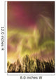 Northern Lights in the sky above Cook Inlet, Southcentral Alaska, USA Wall Mural