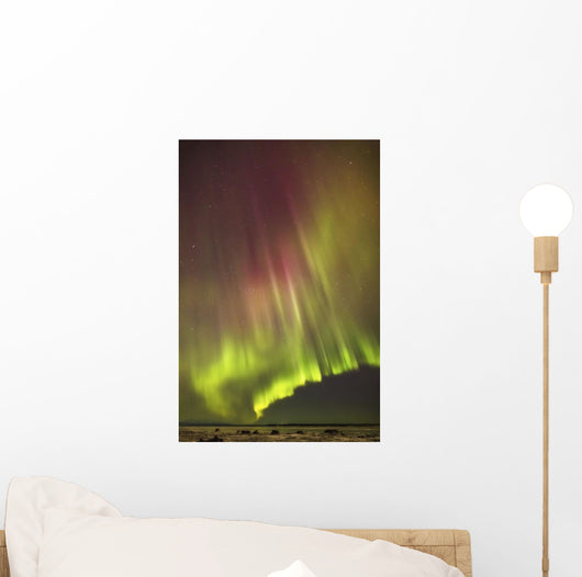 Northern Lights in the sky above the snow covered mudflats of Knik Arm Wall Mural