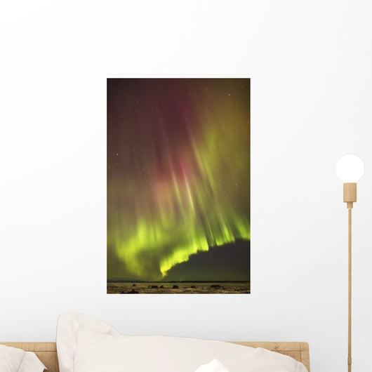 Northern Lights in the sky above the snow covered mudflats of Knik Arm Wall Mural