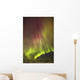Northern Lights in the sky above the snow covered mudflats of Knik Arm Wall Mural