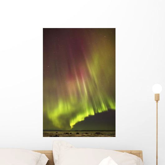 Northern Lights in the sky above the snow covered mudflats of Knik Arm Wall Mural