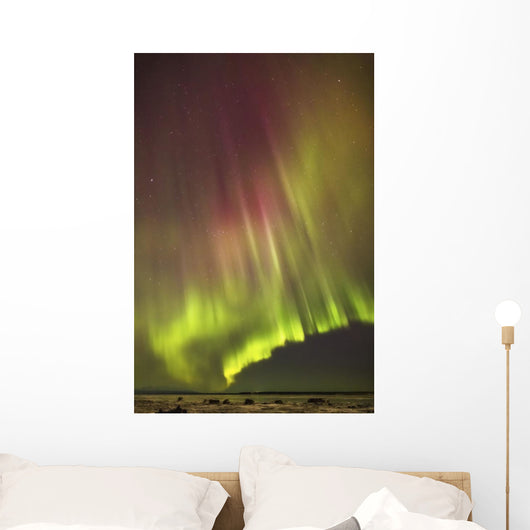 Northern Lights in the sky above the snow covered mudflats of Knik Arm Wall Mural
