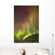 Northern Lights in the sky above the snow covered mudflats of Knik Arm Wall Mural