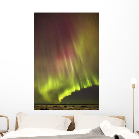 Northern Lights in the sky above the snow covered mudflats of Knik Arm Wall Mural