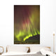 Northern Lights in the sky above the snow covered mudflats of Knik Arm Wall Mural
