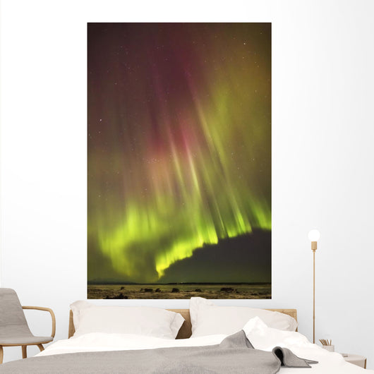 Northern Lights in the sky above the snow covered mudflats of Knik Arm Wall Mural
