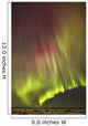 Northern Lights in the sky above the snow covered mudflats of Knik Arm Wall Mural