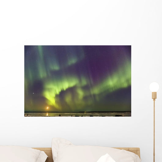 Northern Lights and moon Wall Mural