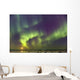 Northern Lights and moon Wall Mural