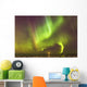 Northern Lights and moon Wall Mural