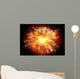 Explosion Wall Mural