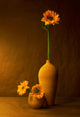 Sunflowers Wall Decal
