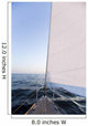 White Sails