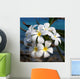 Plumeria Wall Mural