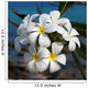 Plumeria Wall Mural