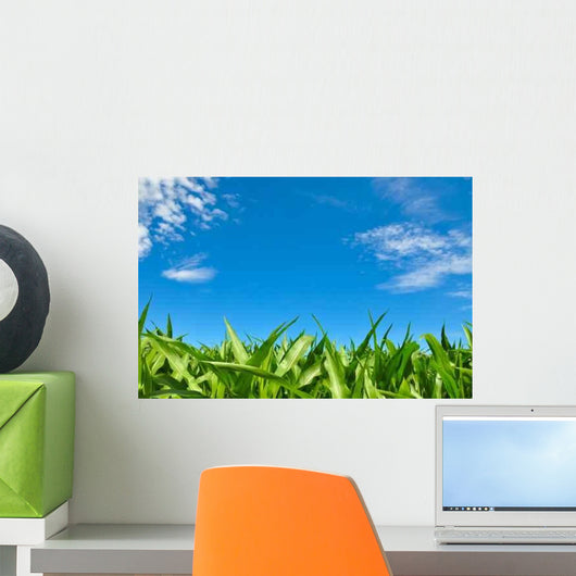 Corn Field and Blue Wall Decal