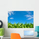 Corn Field and Blue Wall Decal