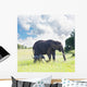 Elephant Wall Mural