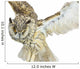 White- Brown Owl