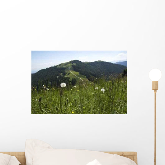 Rear Hornle Wall Decal