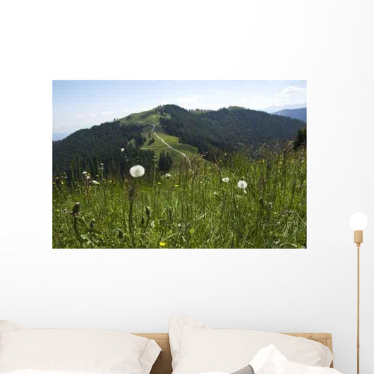 Rear Hornle Wall Decal