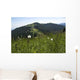 Rear Hornle Wall Decal