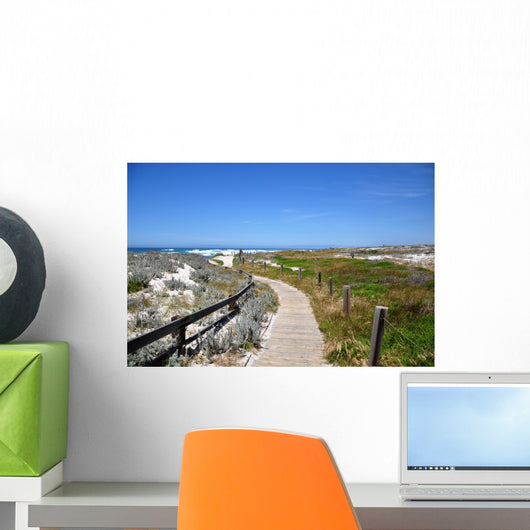 A trail by the coast of Spanish Bay, 17 Mile Drive, Monterey Wall Mural