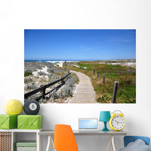 A trail by the coast of Spanish Bay, 17 Mile Drive, Monterey Wall Mural