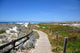 A trail by the coast of Spanish Bay, 17 Mile Drive, Monterey Wall Mural